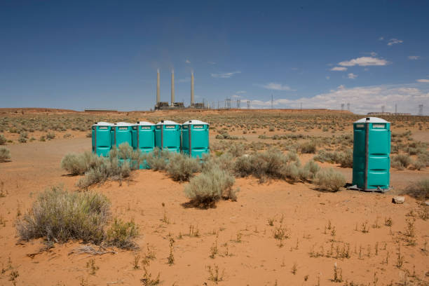 How Our Tree Care Process Works  in  Millville, UT